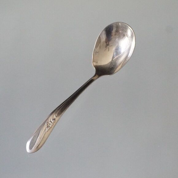 H&T Mfg Co 1940 Meadow Flower Pattern Condiment Serving Spoon Silverplated - Picture 9 of 11